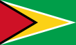 110px-Flag_of_Guyana
